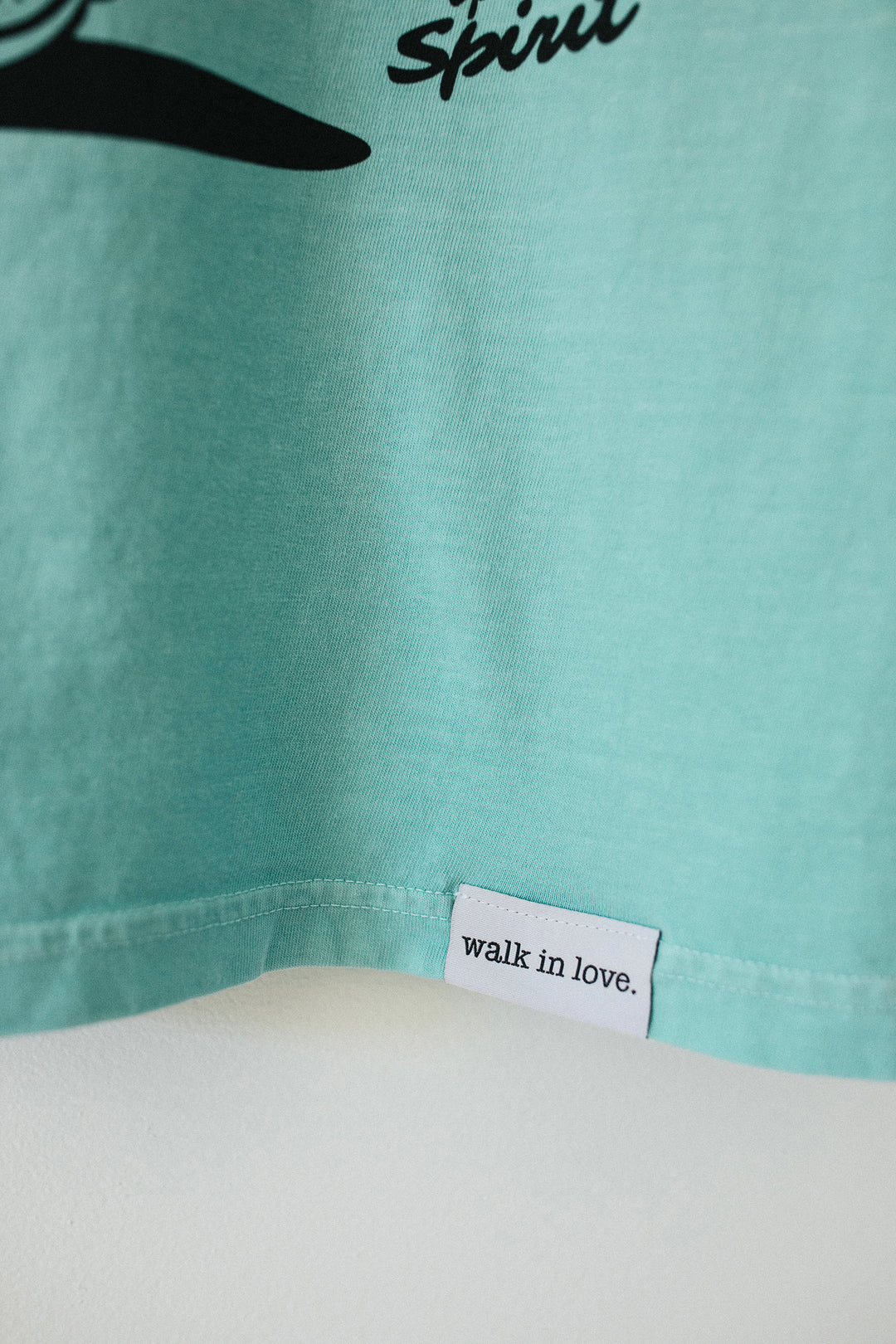 Fruit of the Spirit Mint Vintage Washed Tee